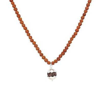 Rudraksha Mala/Chain with Rudraksha Pendent/Dollar Rudraksha Mala/Chain with Rudraksha Pendent/Dollar