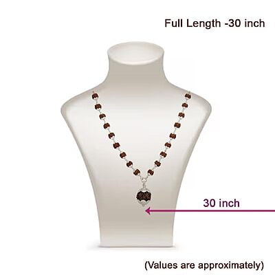 Silver Caped Rudraksha Mala/Chain with Rudraksham Pendent/Dollar Silver Caped Rudraksha Mala/Chain with Rudraksham Pendent/Dollar
